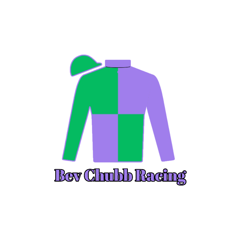 Bev Chubb Racing Sticker