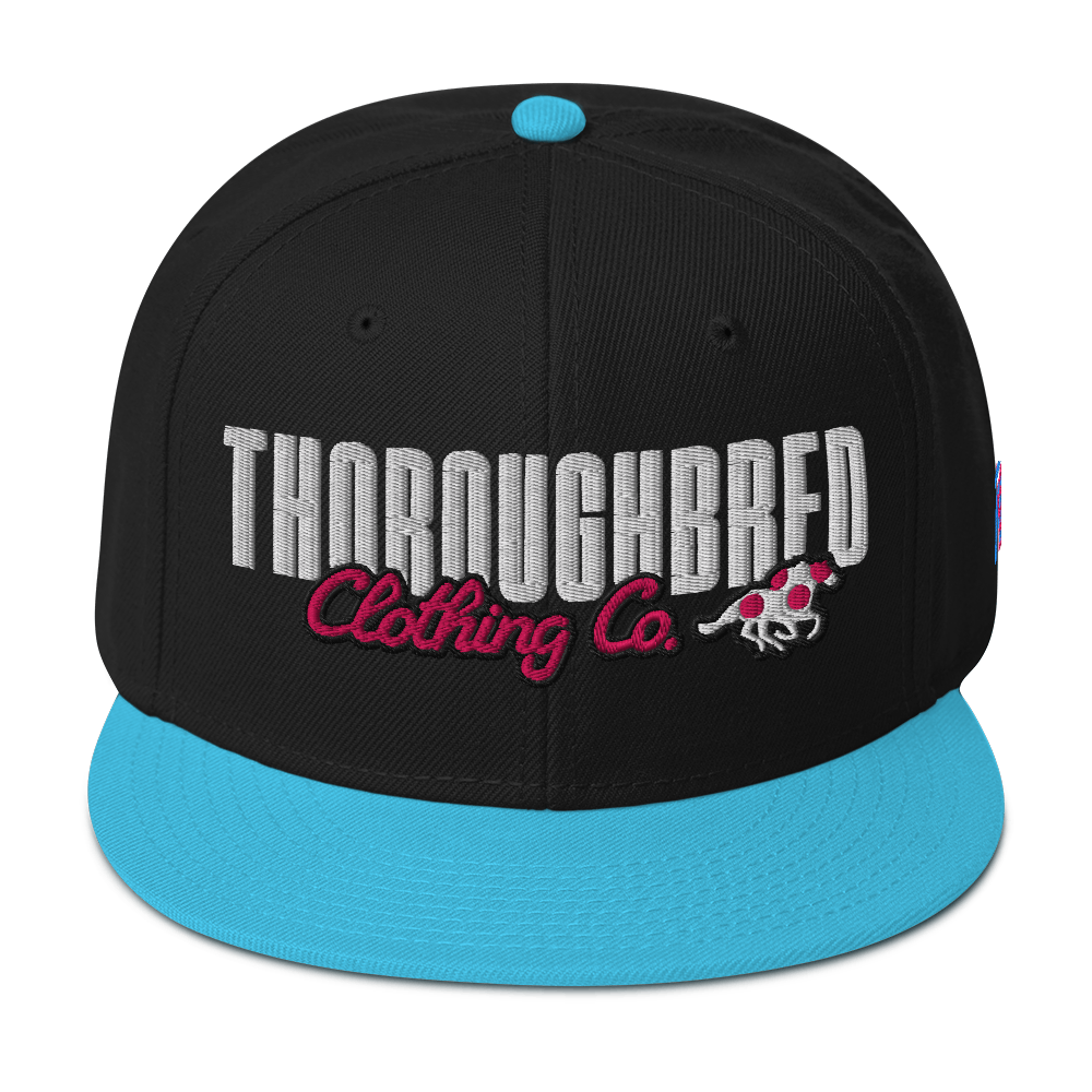 Standard Issue Snap Back South Beach
