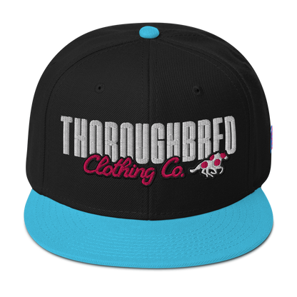 Standard Issue Snap Back South Beach