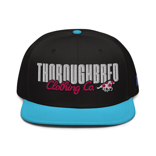 Standard Issue Snap Back South Beach