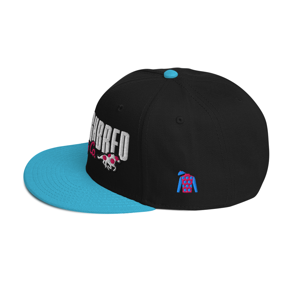 Standard Issue Snap Back South Beach